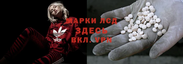 ПСИЛОЦИБИНОВЫЕ ГРИБЫ Карталы