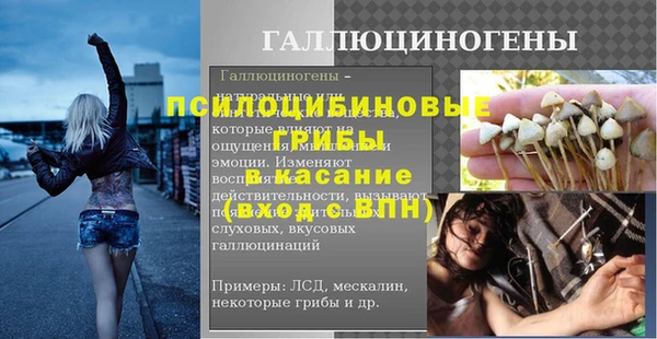 дживик Алексин