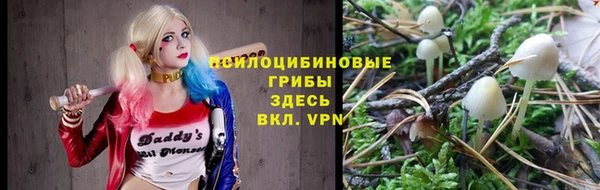 дживик Алексин
